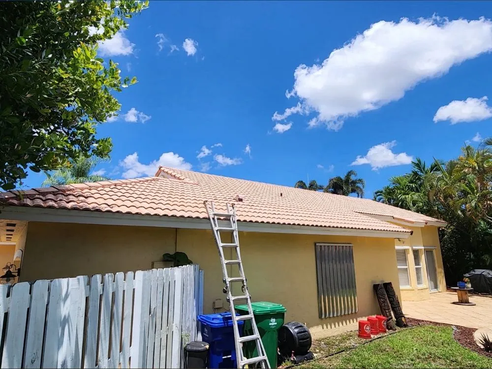 Custom landscape design for outdoor upgrades across Aventura, FL - Black Kat Pressure Washing and Lawn