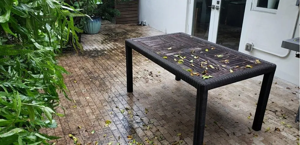 Reliable yard maintenance in Aventura, FL - Black Kat Pressure Washing and Lawn