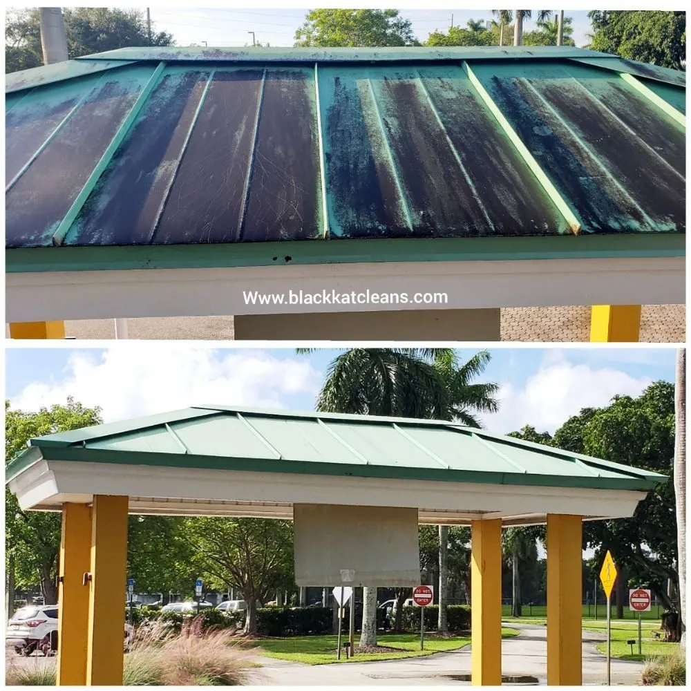 Professional landscape installation in Aventura, FL by Black Kat Pressure Washing and Lawn