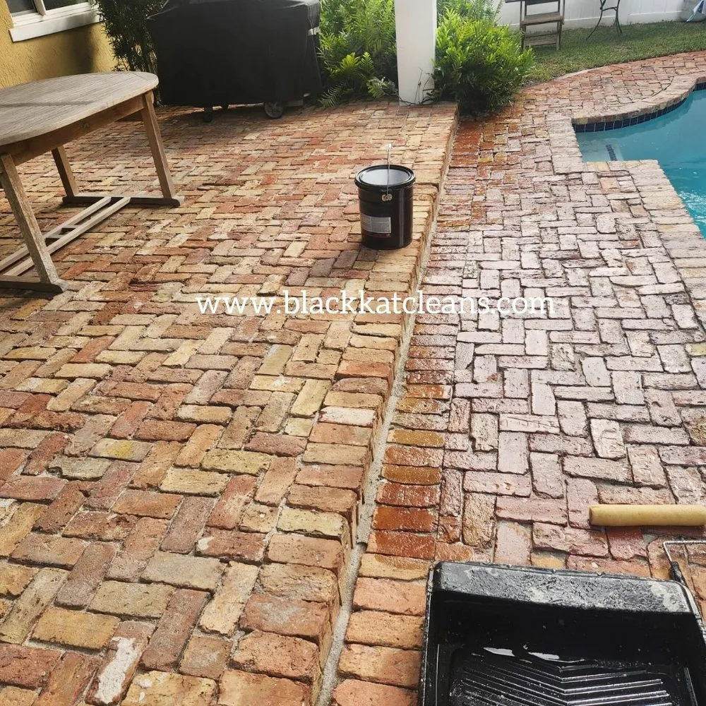 Professional landscape installation with custom design in Aventura, FL by Black Kat Pressure Washing and Lawn