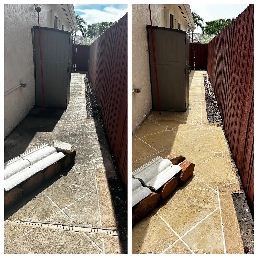 Professional landscape design in Aventura, FL by Black Kat Pressure Washing and Lawn