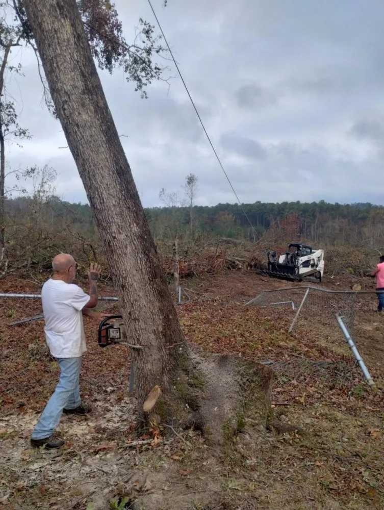 Professional landscape design for residential properties across Augusta, GA - Black Knight Tree Services