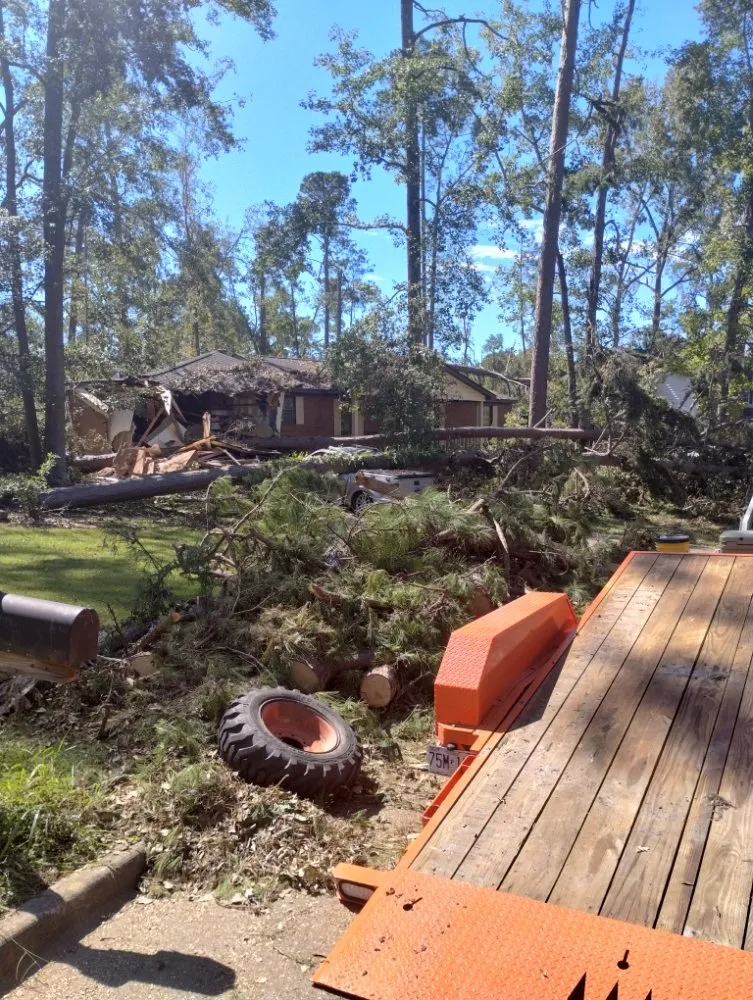 Local yard cleanup service with custom design across Augusta, GA - Black Knight Tree Services
