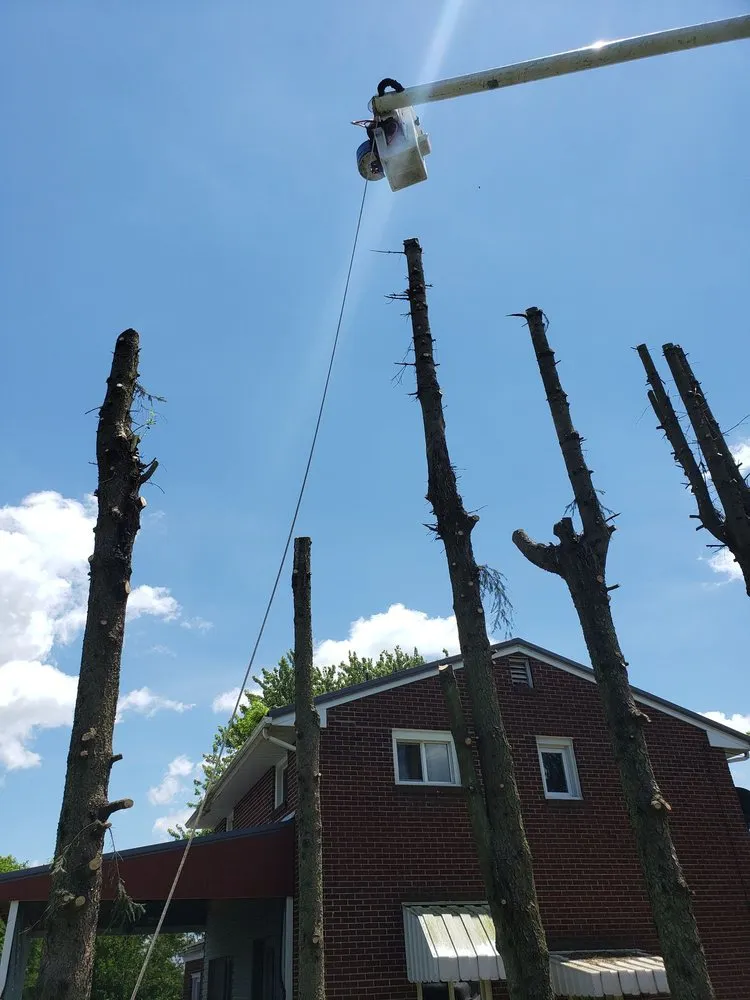 Local lawn mowing service for homes across Leechburg, PA - Black Lab Tree & Landscape Services