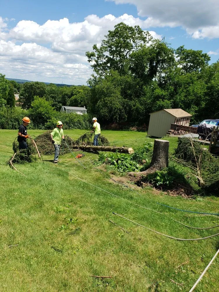 Reliable landscaping services in Leechburg, PA - Black Lab Tree & Landscape Services