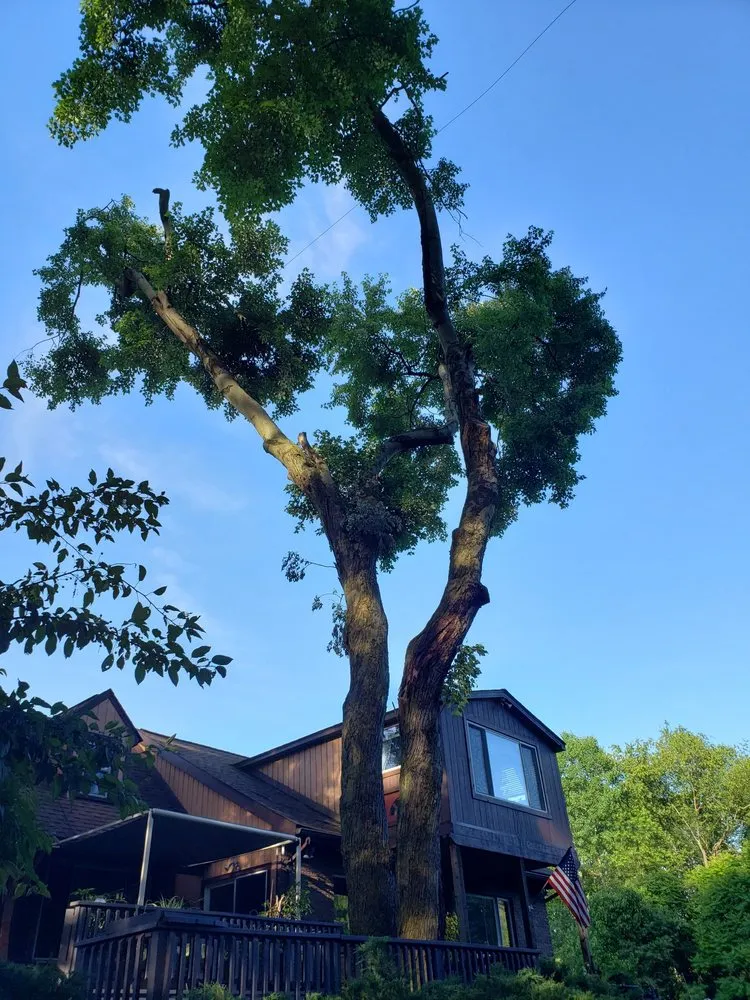 Local garden landscaping in Leechburg, PA by Black Lab Tree & Landscape Services