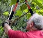 Expert garden landscaping experts serving Leechburg, PA - Black Lab Tree & Landscape Services