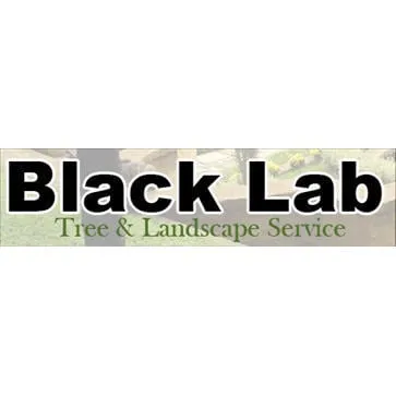 Top-rated garden landscaping experts serving Leechburg, PA - Black Lab Tree & Landscape Services
