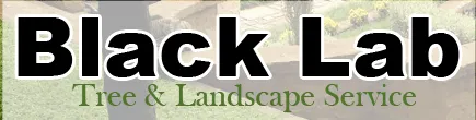 Professional landscape design in Leechburg, PA by Black Lab Tree & Landscape Services