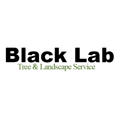 Custom landscaping services in Leechburg, PA - Black Lab Tree & Landscape Services