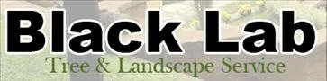 Reliable residential landscaping for year-round maintenance across Leechburg, PA - Black Lab Tree & Landscape Services