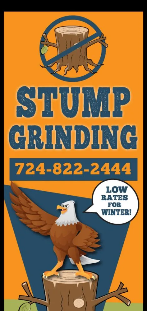 Affordable landscape installation with custom design in Leechburg, PA by Black Lab Tree & Landscape Services