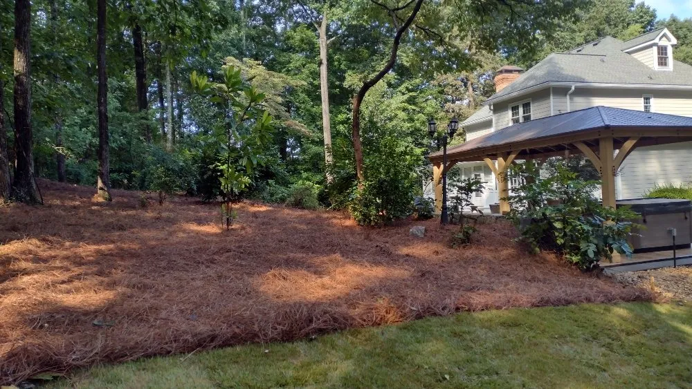 Custom lawn mowing service for beautiful yards in Marietta, GA by Black Label Tree