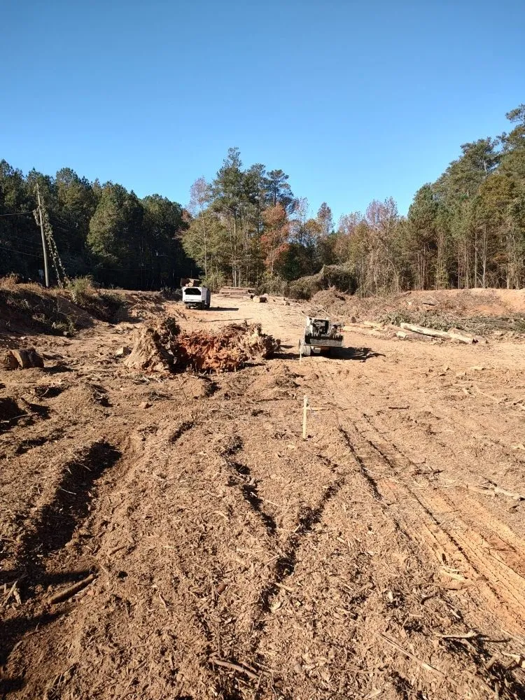 Local landscape design experts serving Marietta, GA - Black Label Tree