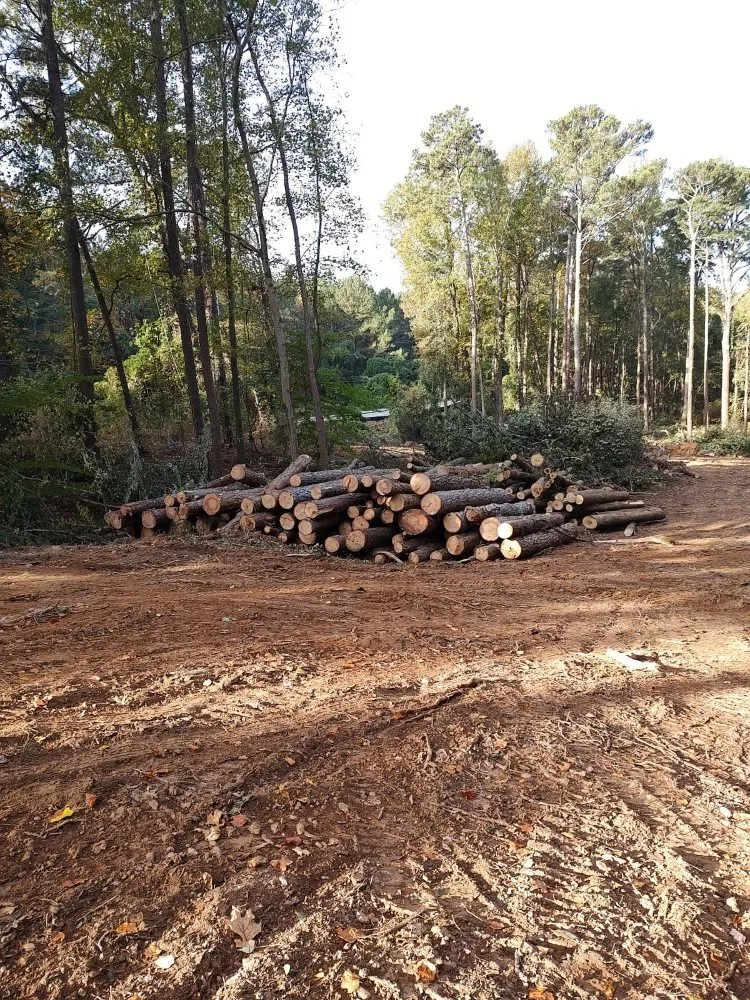 Trusted landscaping services in Marietta, GA - Black Label Tree