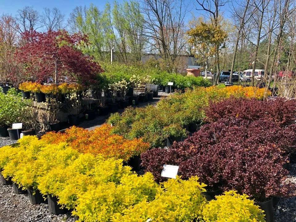 Expert yard maintenance in Mechanicsburg, PA by Black Landscape Contracting