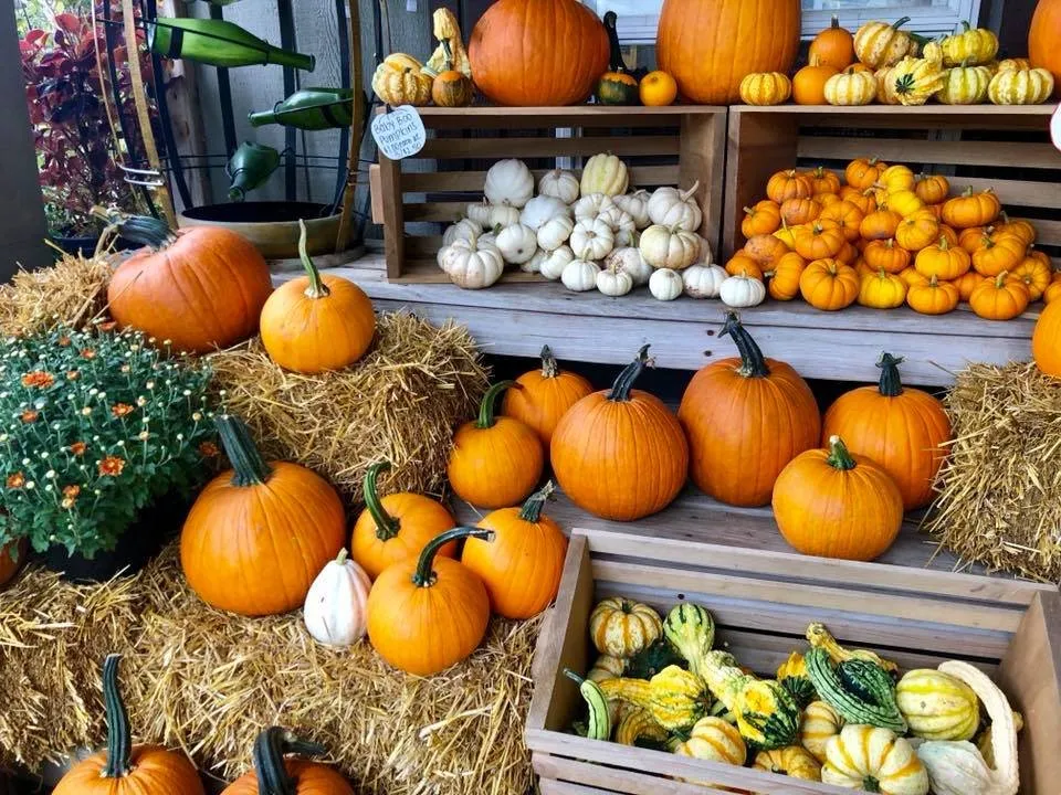 Expert residential landscaping in Mechanicsburg, PA - Black Landscape Contracting