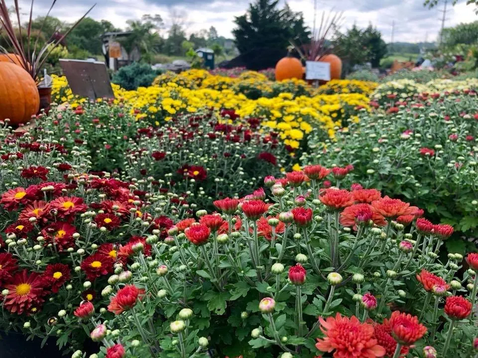 Professional landscape design in Mechanicsburg, PA by Black Landscape Contracting