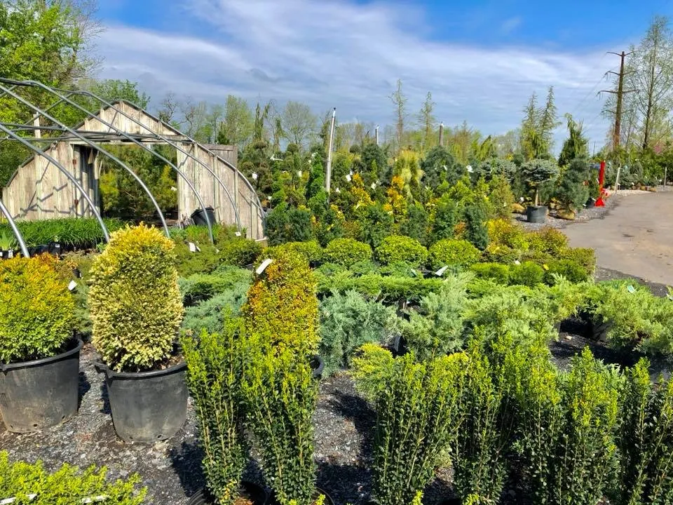 Local garden landscaping near you across Mechanicsburg, PA - Black Landscape Contracting