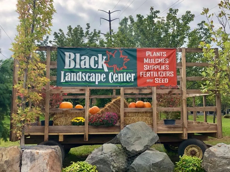 Trusted lawn care service for beautiful yards in Mechanicsburg, PA by Black Landscape Contracting