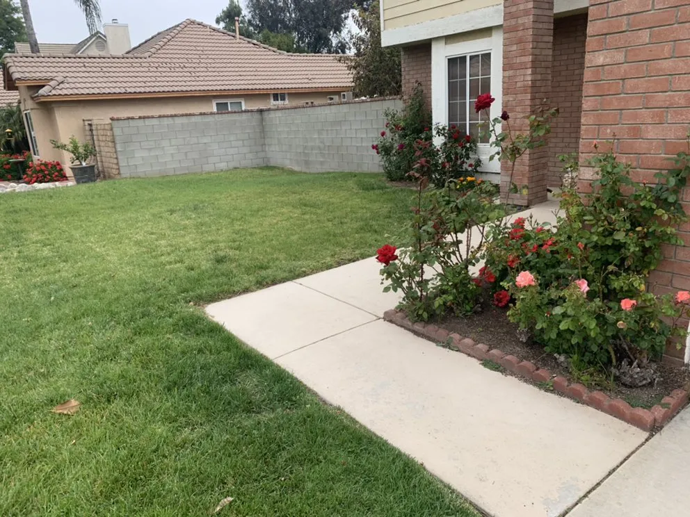 Local landscape installation in Moreno Valley, CA - Black Lion Landscaping