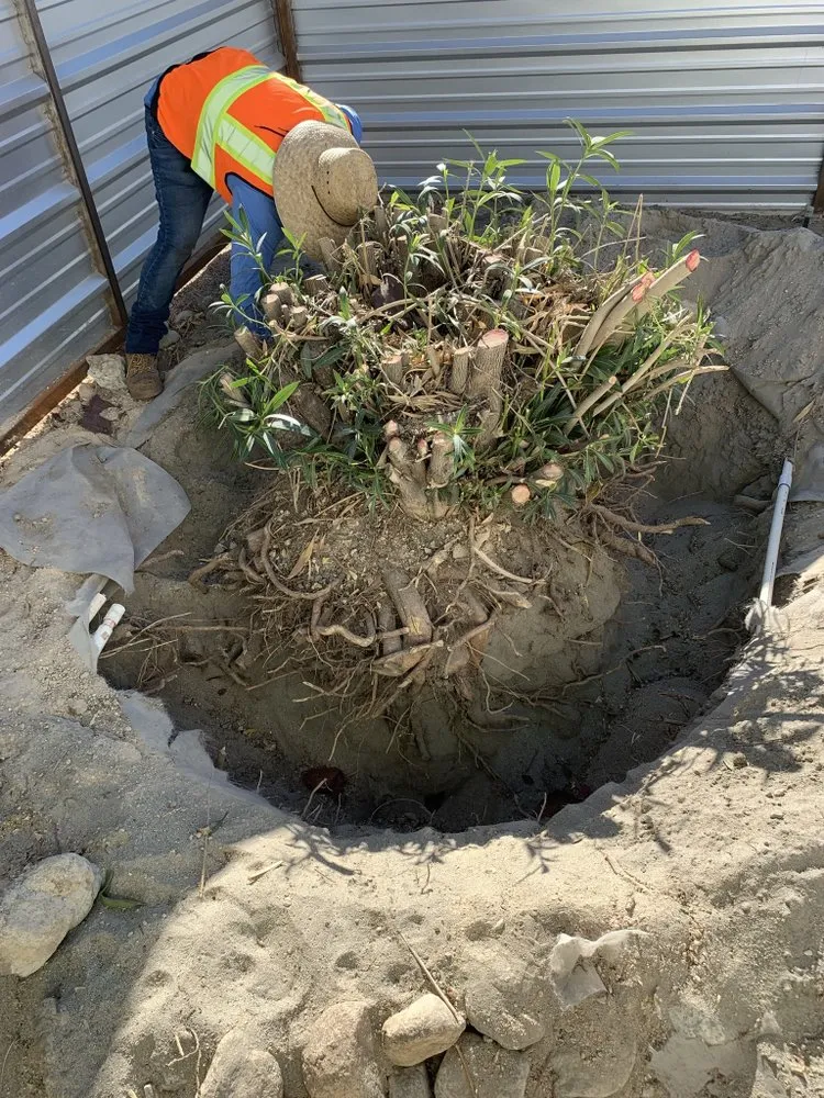 Custom yard maintenance with custom design in Moreno Valley, CA by Black Lion Landscaping