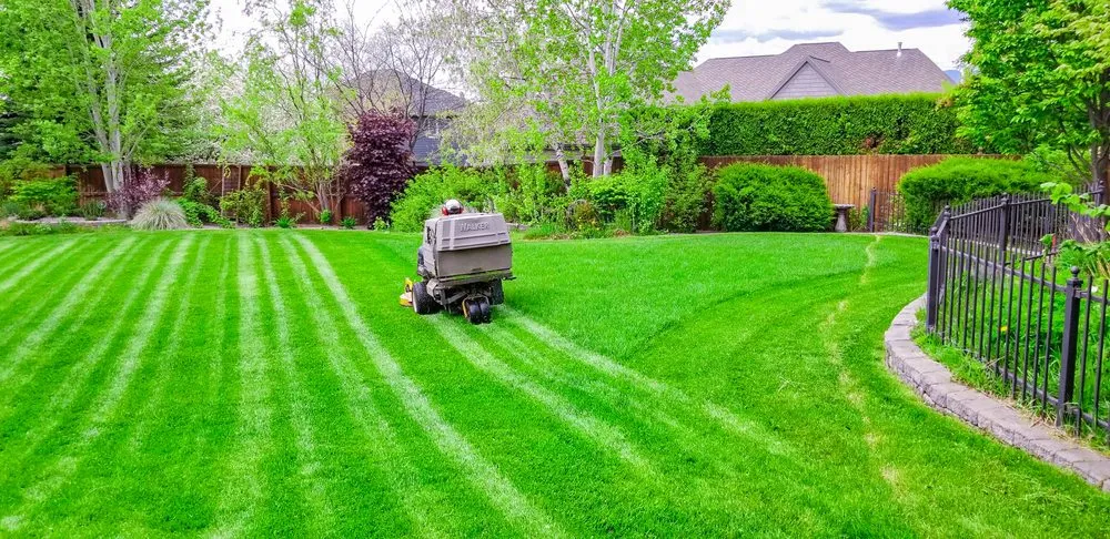 Top-rated outdoor landscaping experts serving Missoula, MT - Black Mountain Lawn and Landscape