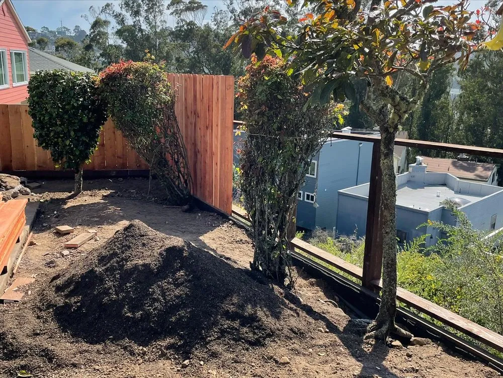 Top-rated yard maintenance in Petaluma, CA - Black oak landscape