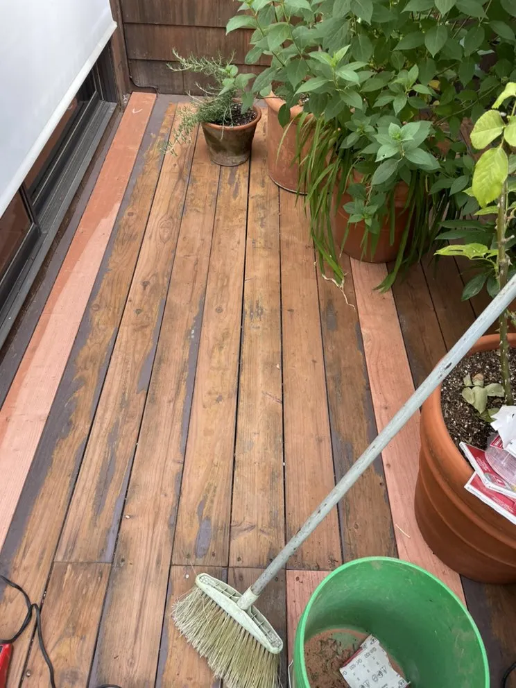 Professional yard maintenance in Petaluma, CA - Black oak landscape