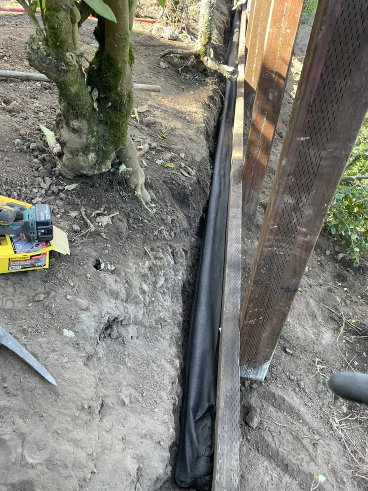 Top-rated landscaping services experts serving Petaluma, CA - Black oak landscape