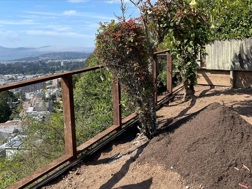 Expert lawn care service in Petaluma, CA by Black oak landscape