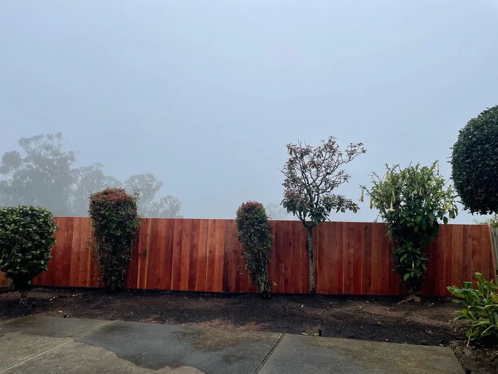 Custom landscaping services in Petaluma, CA - Black oak landscape