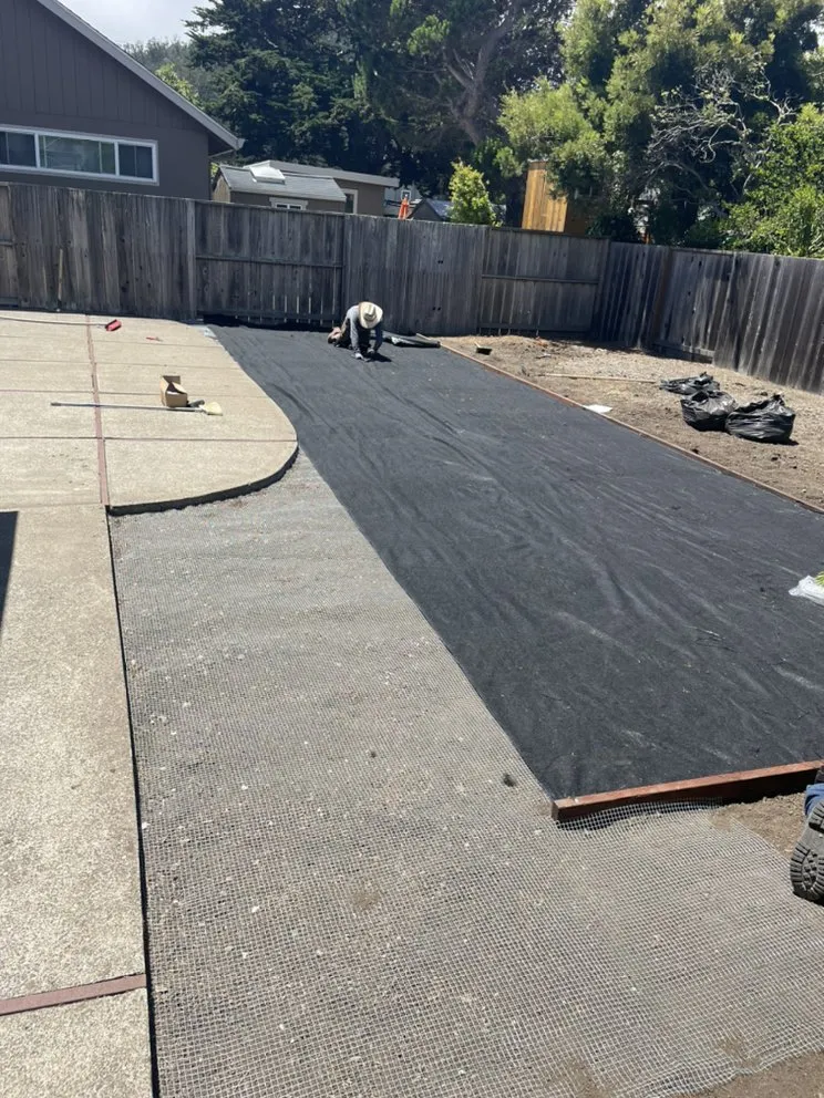 Affordable landscape design in Petaluma, CA - Black oak landscape