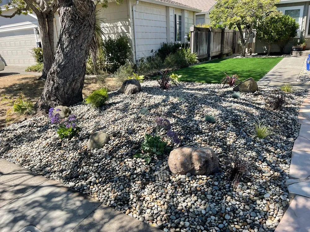 Trusted garden landscaping near you across Petaluma, CA - Black oak landscape