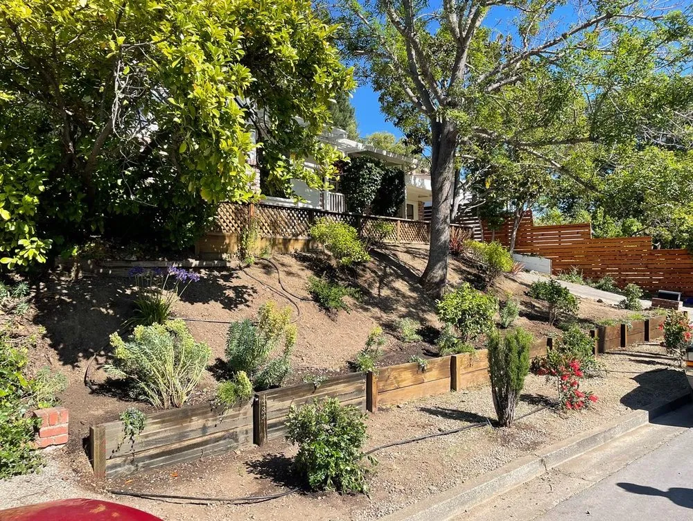 Professional residential landscaping for residential properties across Petaluma, CA - Black oak landscape