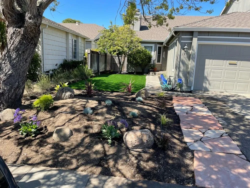 Trusted yard cleanup service for year-round maintenance in Petaluma, CA by Black oak landscape