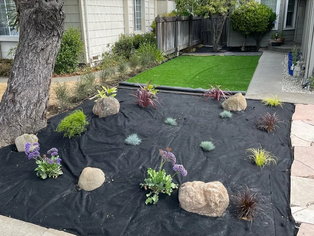 Expert lawn mowing service in Petaluma, CA - Black oak landscape