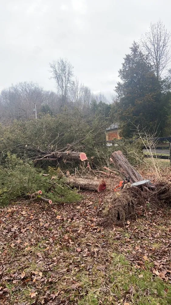 Local lawn care service experts serving Franklin, TN - Black Oak Solutions