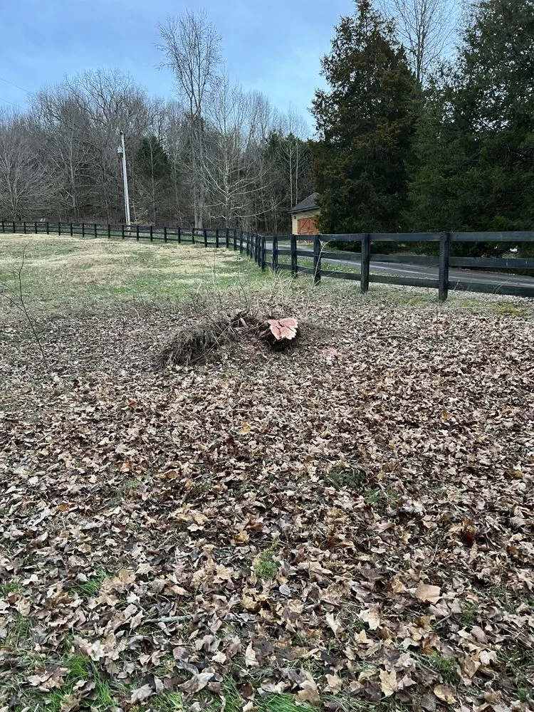 Local landscape installation in Franklin, TN - Black Oak Solutions