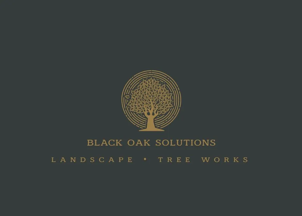Top-rated landscape design in Franklin, TN by Black Oak Solutions