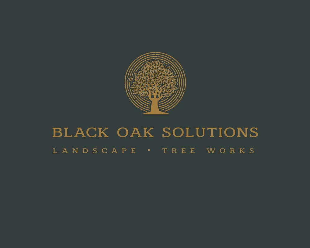 Trusted landscape installation for beautiful yards across Franklin, TN - Black Oak Solutions