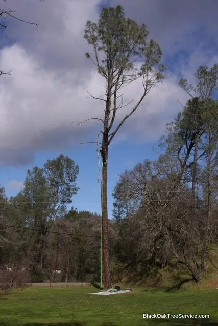 Reliable residential landscaping for residential properties across Middletown, CA - Black Oak Tree Service