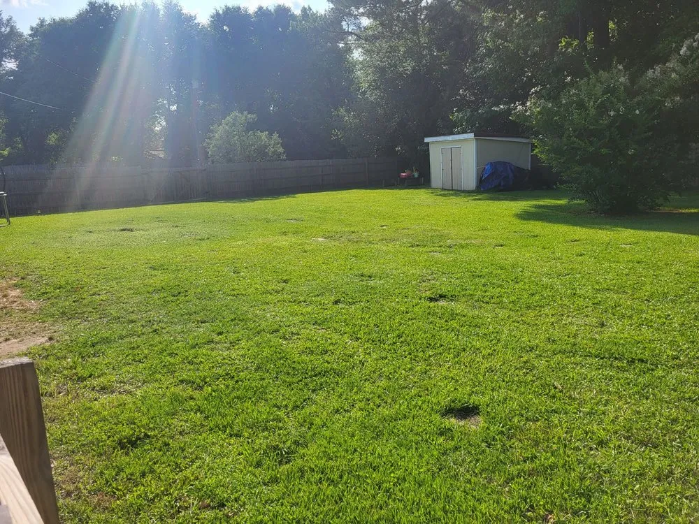 Reliable lawn mowing service for homes in Prattville, AL by Black Ops Lawn