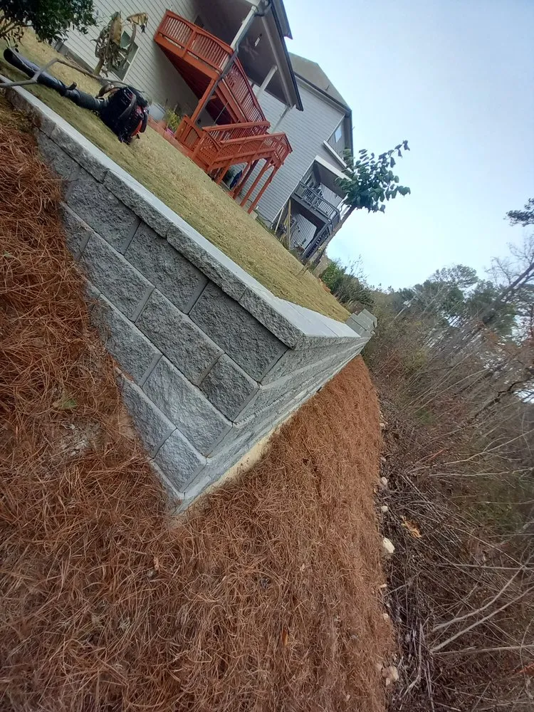 Local yard cleanup service for beautiful yards across Lawrenceville, GA - Black Panther