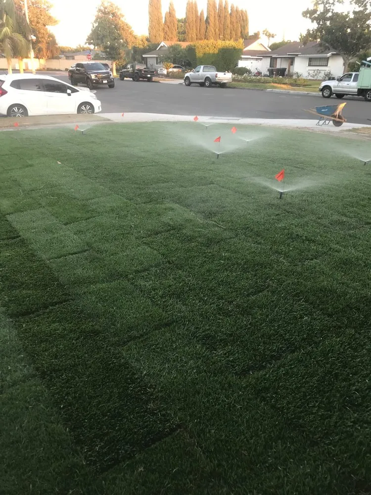 Professional yard maintenance experts serving Anaheim, CA - Black Panthers