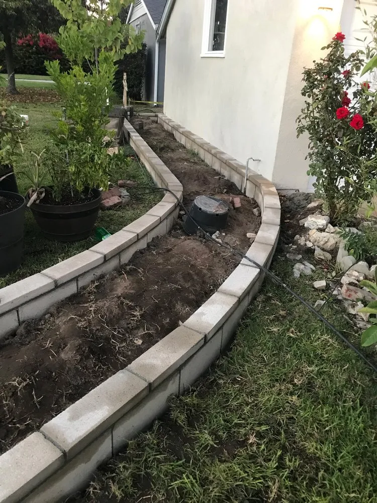 Affordable yard maintenance in Anaheim, CA by Black Panthers