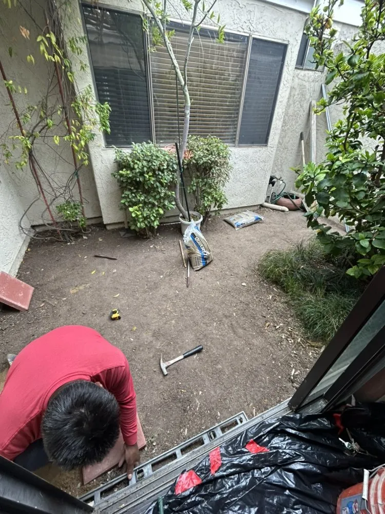 Top-rated landscaping services for year-round maintenance in Anaheim, CA by Black Panthers