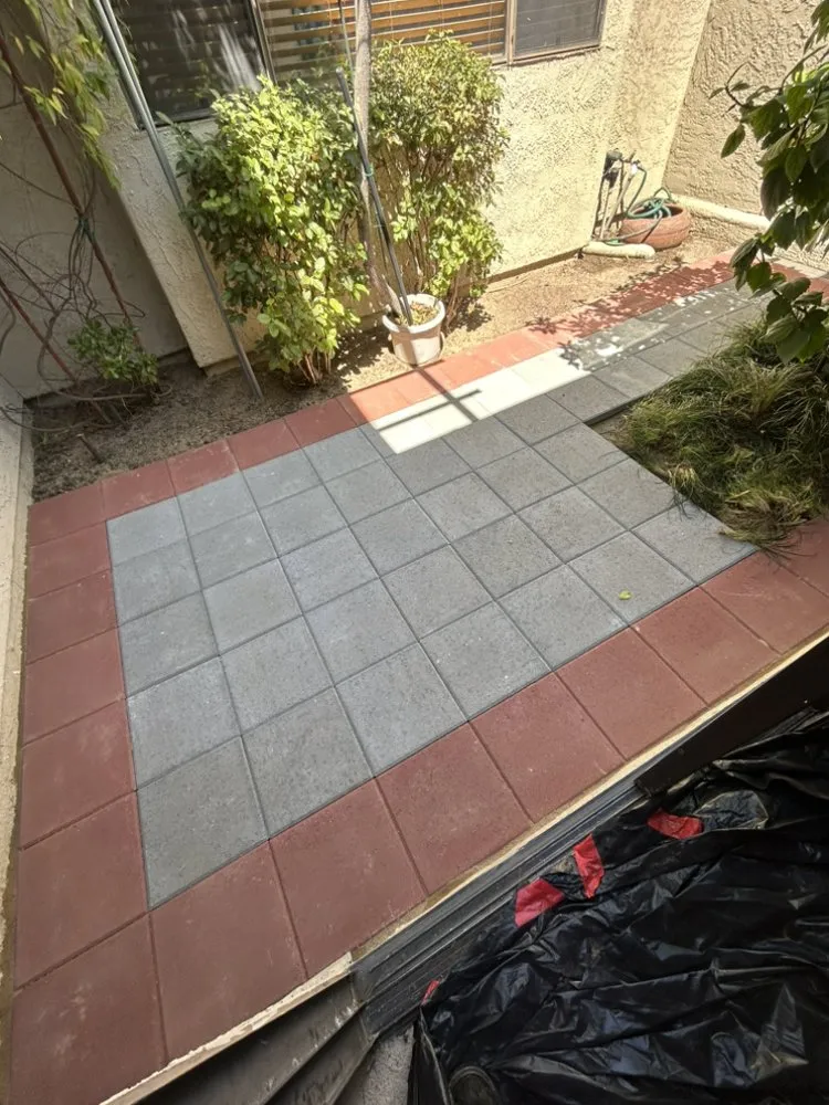 Expert yard cleanup service near you in Anaheim, CA by Black Panthers