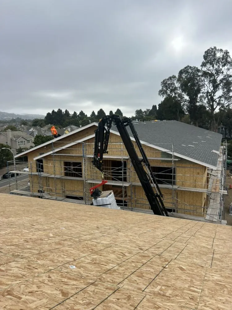 Professional lawn mowing service in Anaheim, CA - Black Panthers