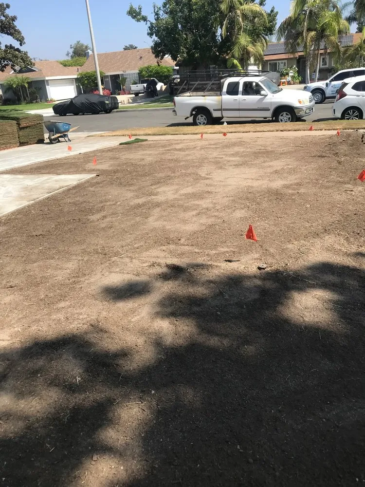 Expert landscape design for residential properties in Anaheim, CA by Black Panthers